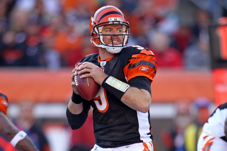 284. Carson Palmer