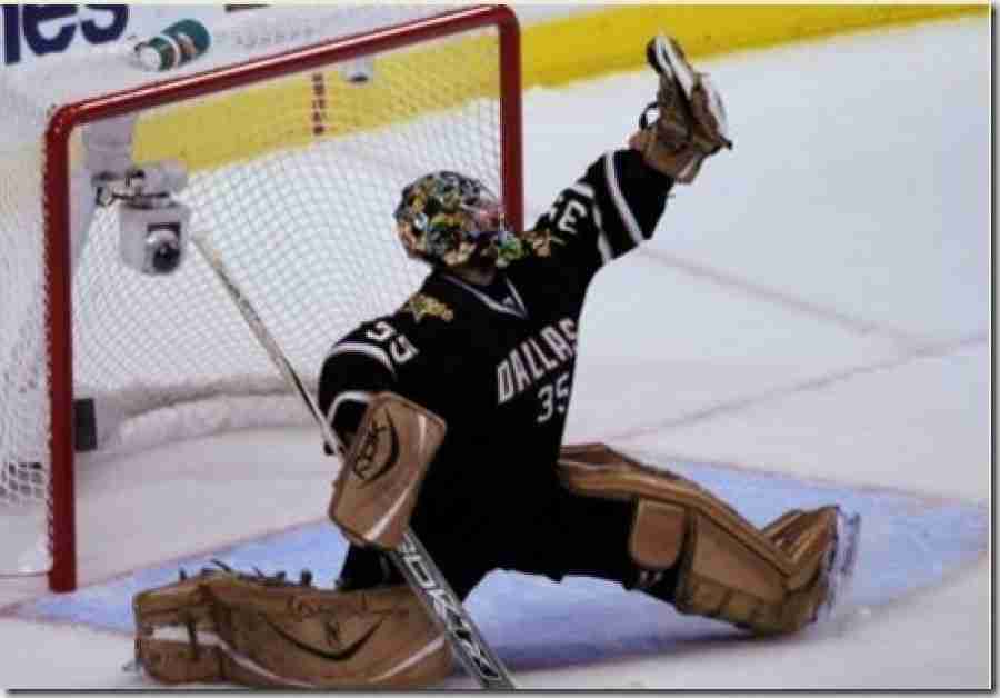 Images of goalie Marty Turco