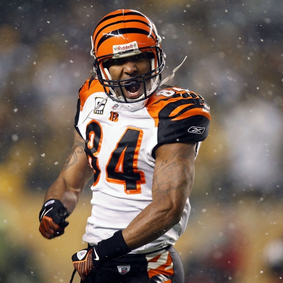 46. T.J. Houshmandzadeh