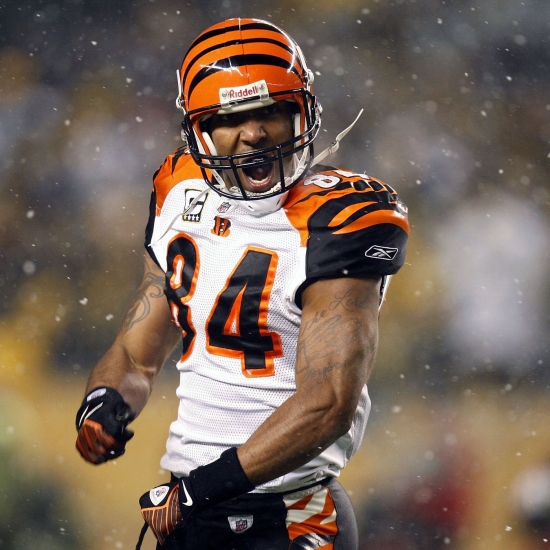 43. T.J. Houshmandzadeh