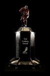 The Ted Lindsay Award