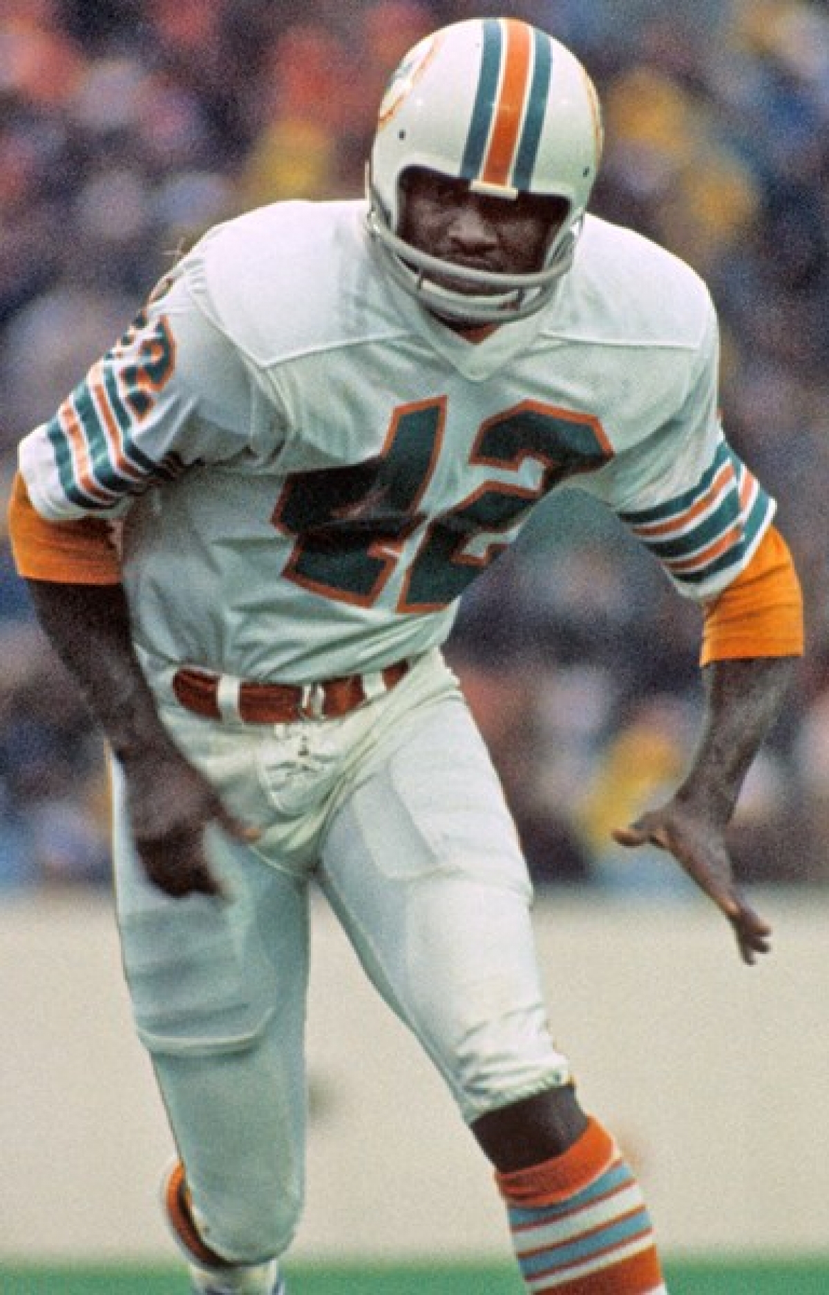 Paul Warfield  Miami dolphins football, Nfl football teams, Dolphins  football