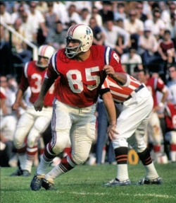 10. Nick Buoniconti