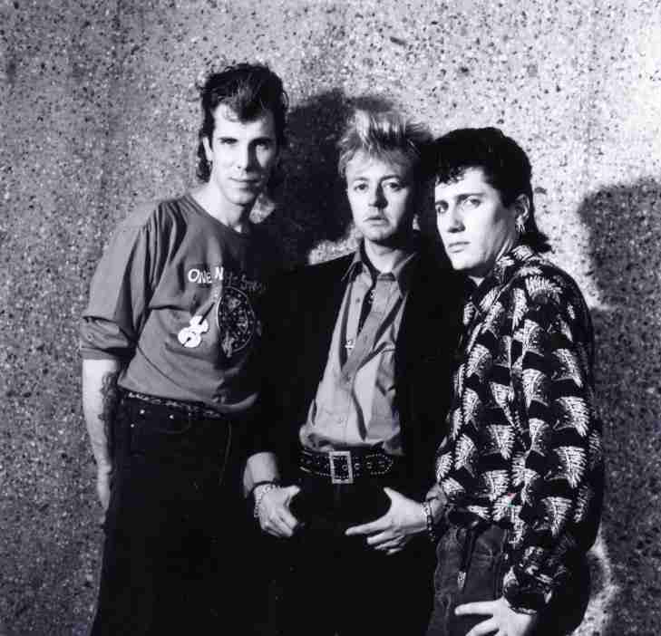 268.  Stray Cats