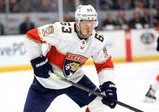 29. Evgeni Dadonov