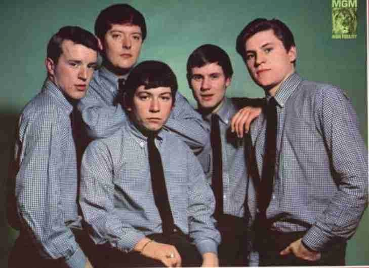 The Animals