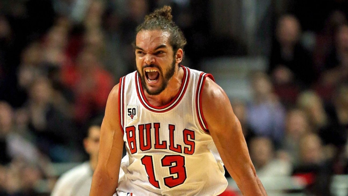 Joakim Noah Bulls 2015 Season Highlights 