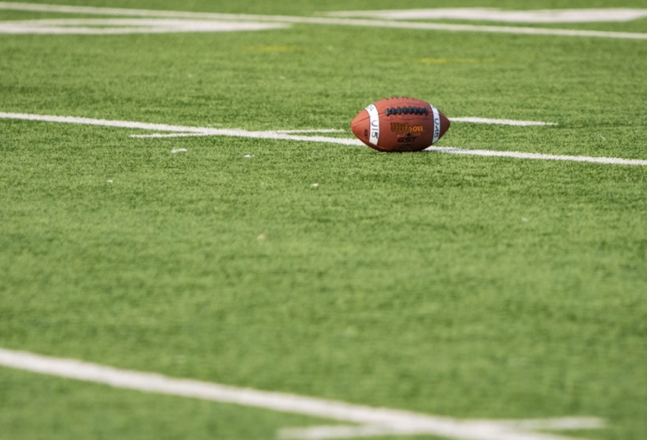 Favorites vs. Underdogs: Reading NFL Moneyline Odds Early in the Season