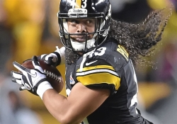 9. Troy Polamalu