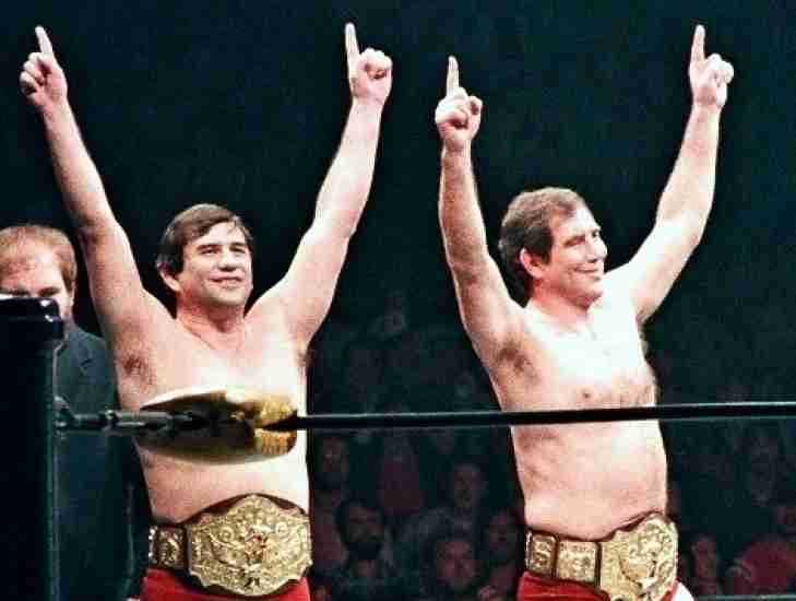 The Brisco Brothers (Jack & Gerry)
