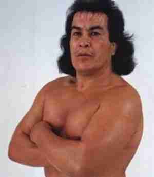 176. Perro Aguayo