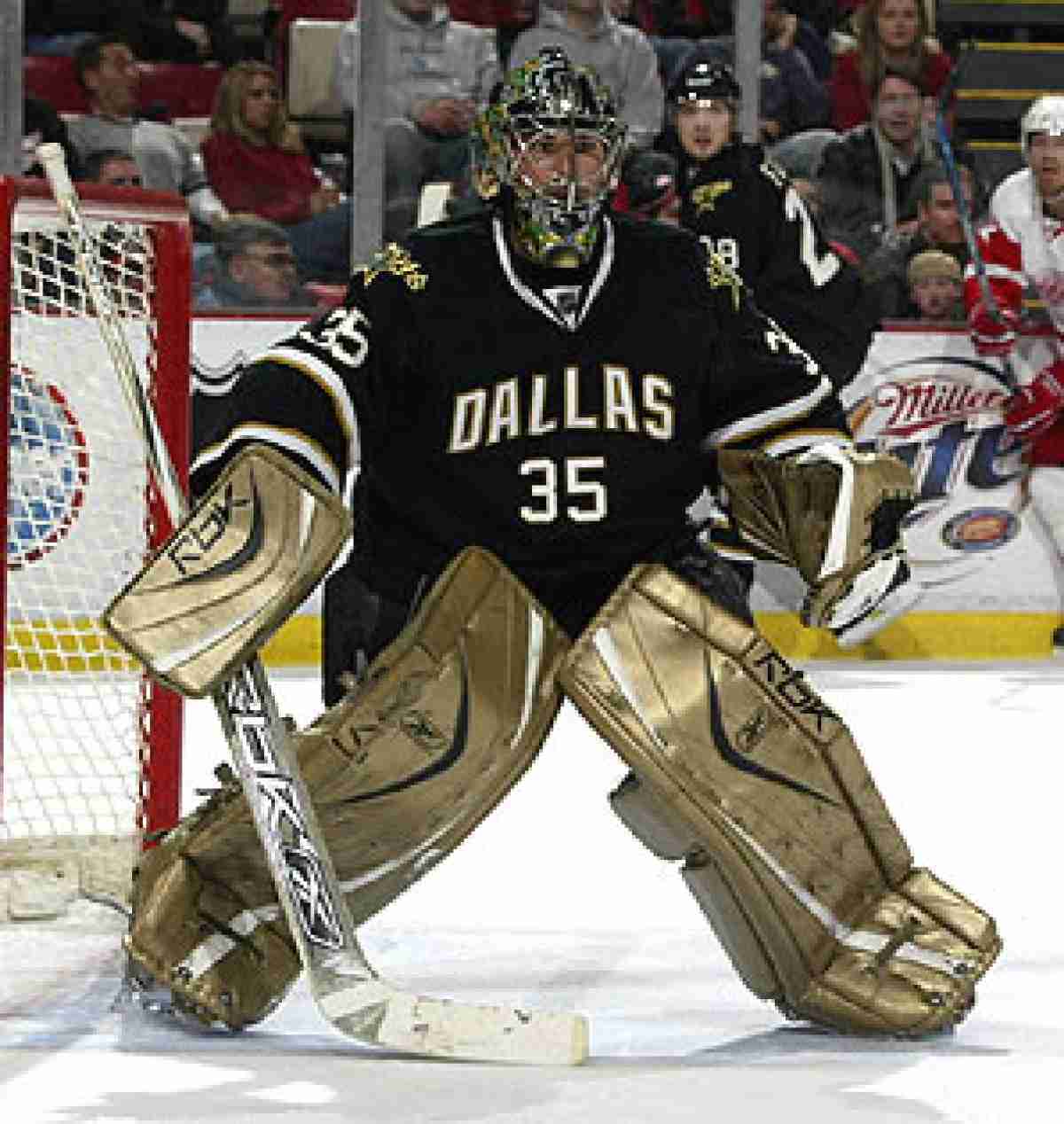Images of goalie Marty Turco