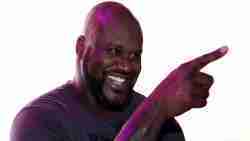 7. Shaquille O'Neal