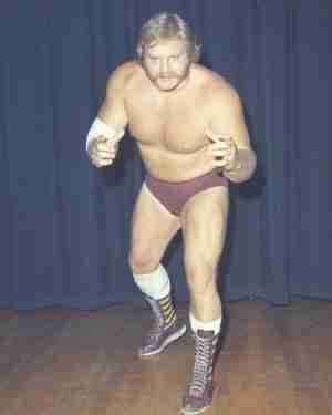 Ole Anderson