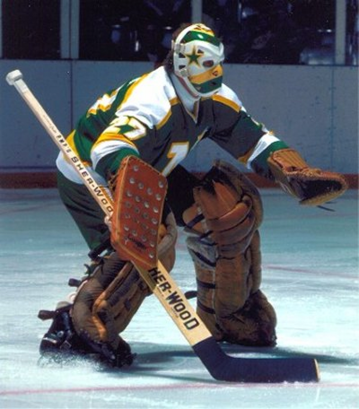 Gilles Meloche with the California Golden Seals.