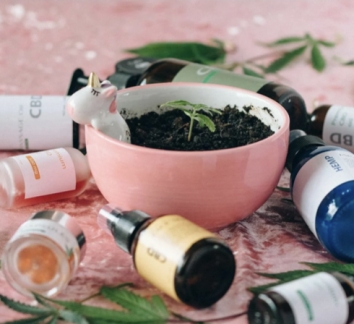 Why Do Podcasts Talk Highly About Herbal Products Lately?