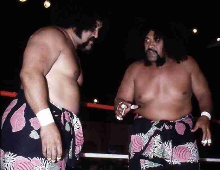 The Wild Samoans (Afa & Sika)