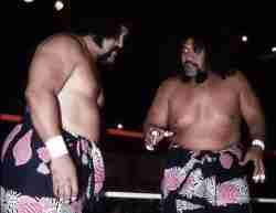 The Wild Samoans (Afa &amp; Sika)