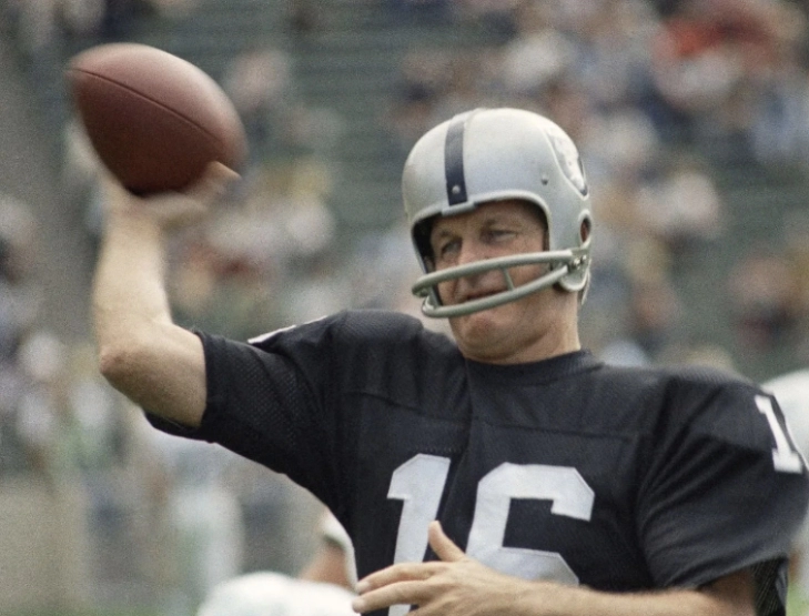 The Pro Football Hall of Fame Revisited Project: 1981 Final VOTE