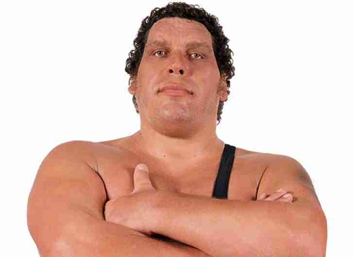 Andre the Giant