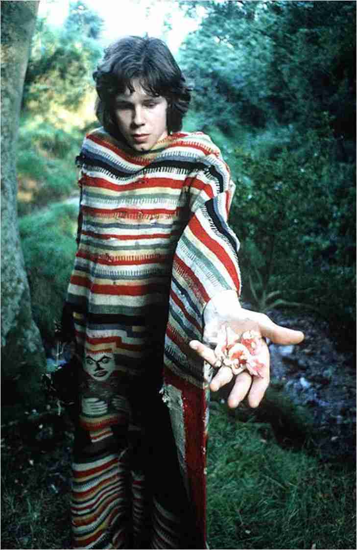 245.  Nick Drake