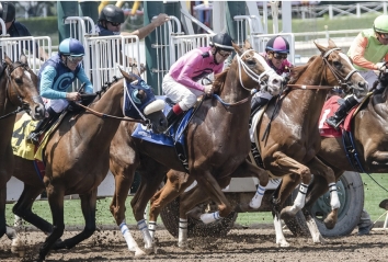 Analyzing Preakness 2025: What Can Bettors Look Forward To?