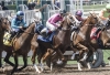 Analyzing Preakness 2025: What Can Bettors Look Forward To?