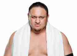 Samoa Joe