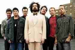292. Counting Crows