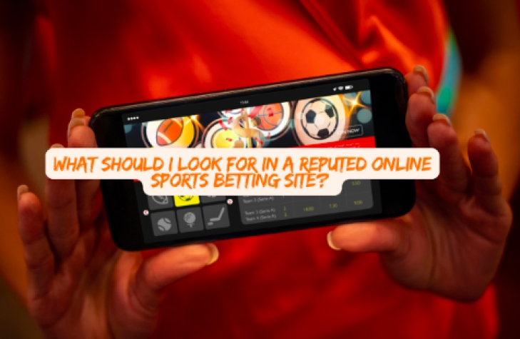 What Should I Look for in a Reputed Online Sports Betting Site?