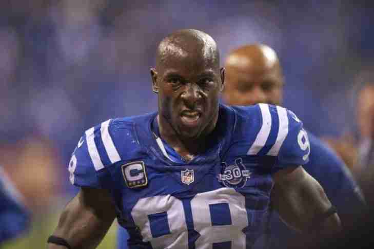 15. Robert Mathis