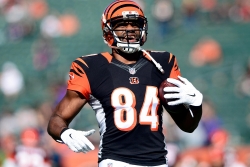 Jermaine Gresham