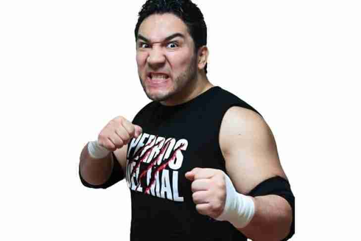 361. Perro Aguayo Jr.