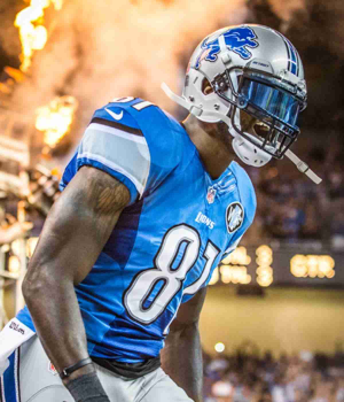 calvin johnson dog jersey