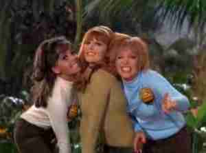 The Honey Bees