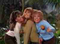 The Honey Bees