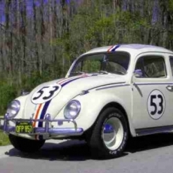 Herbie