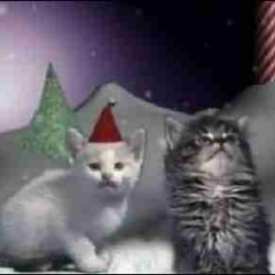 The Jingle Cats